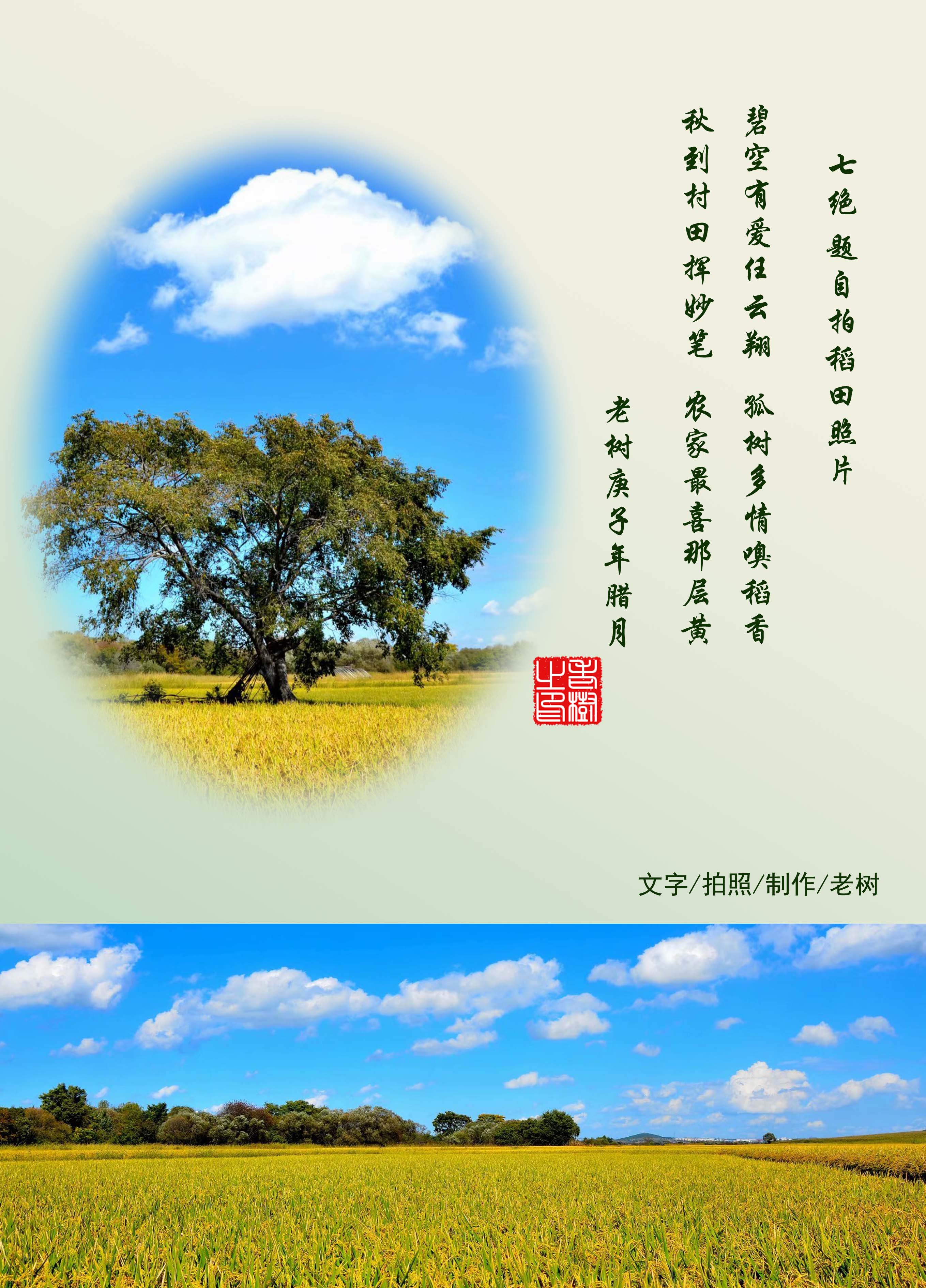 �߾� �����ĵ�����Ƭ.jpg