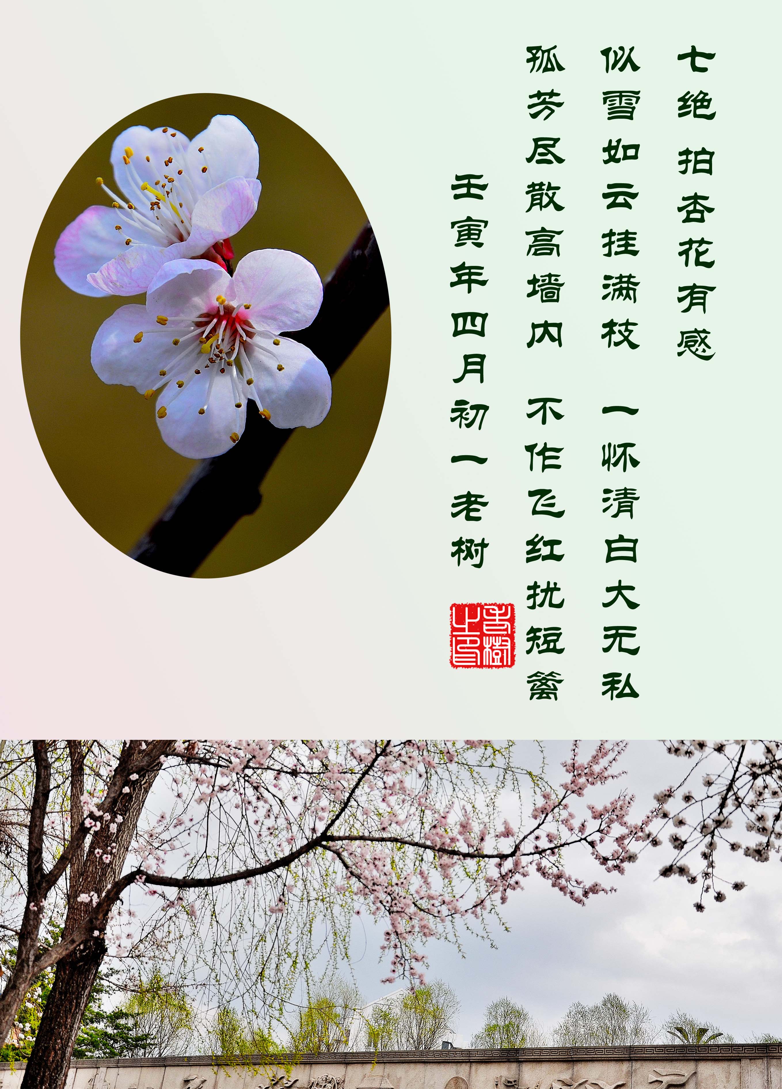 �߾� ���ӻ��и�.jpg