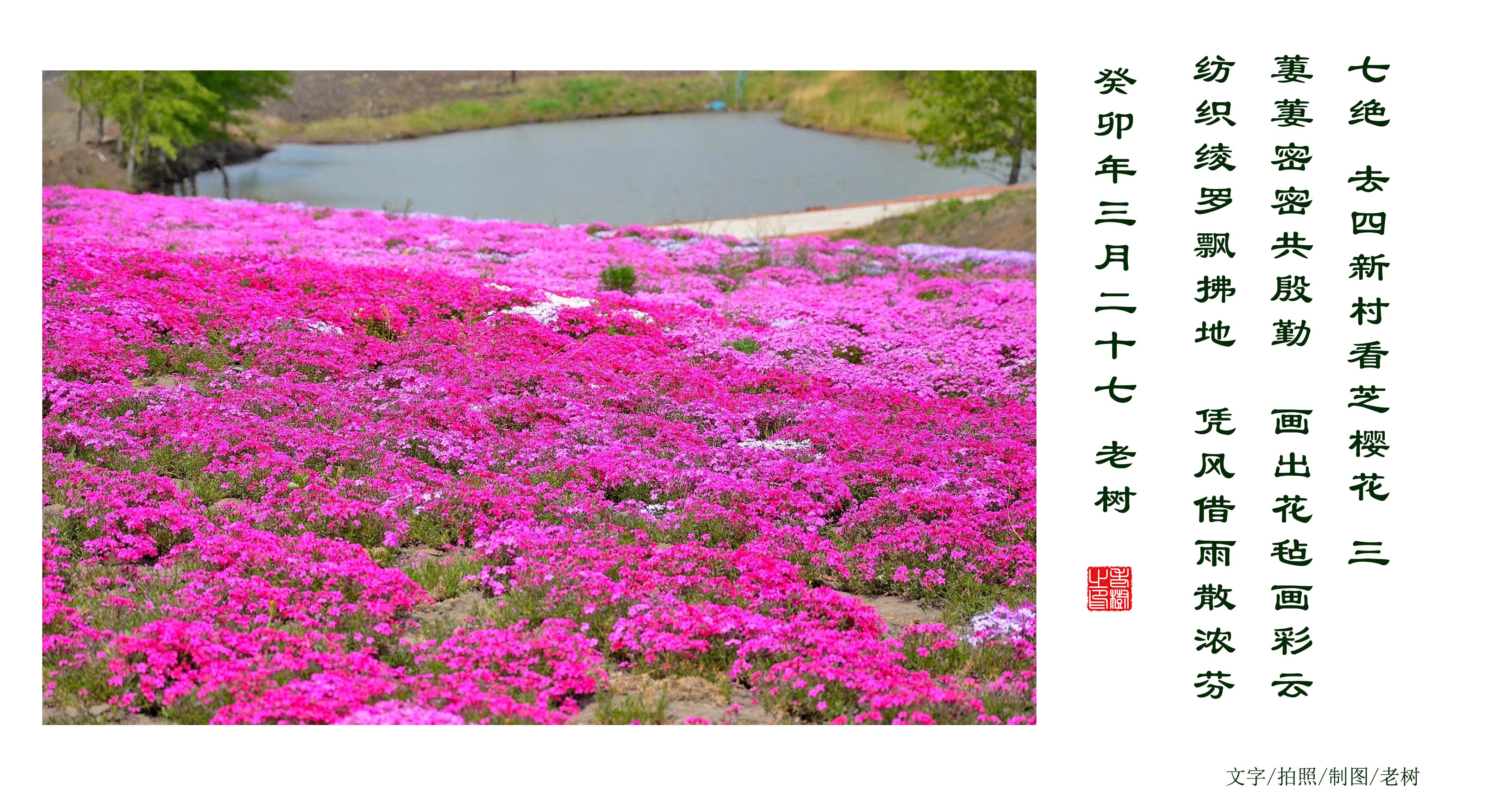 �߾� ȥ���´忴֥ӣ�� ��.jpg