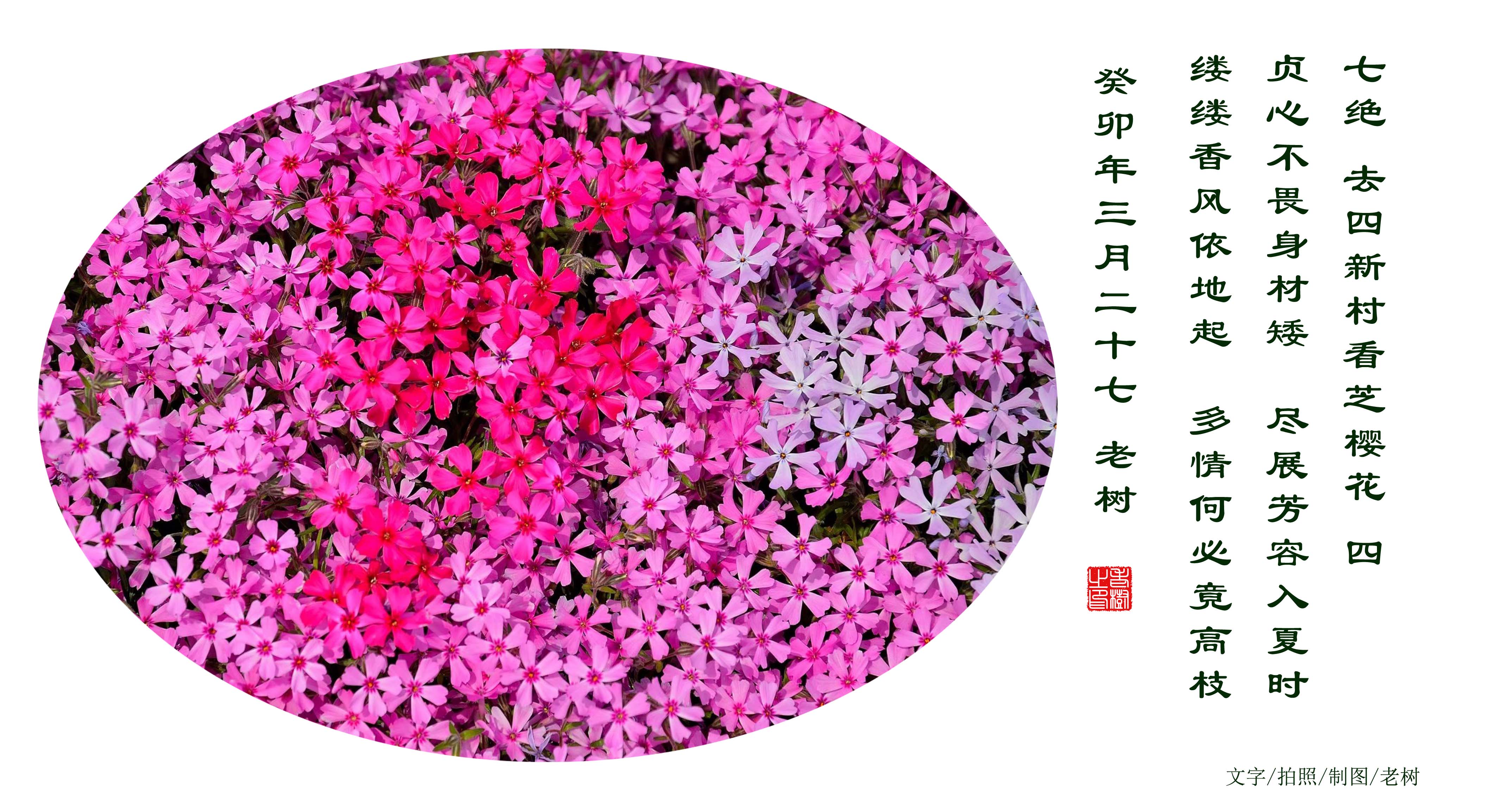 �߾� ȥ���´忴֥ӣ�� ��.jpg