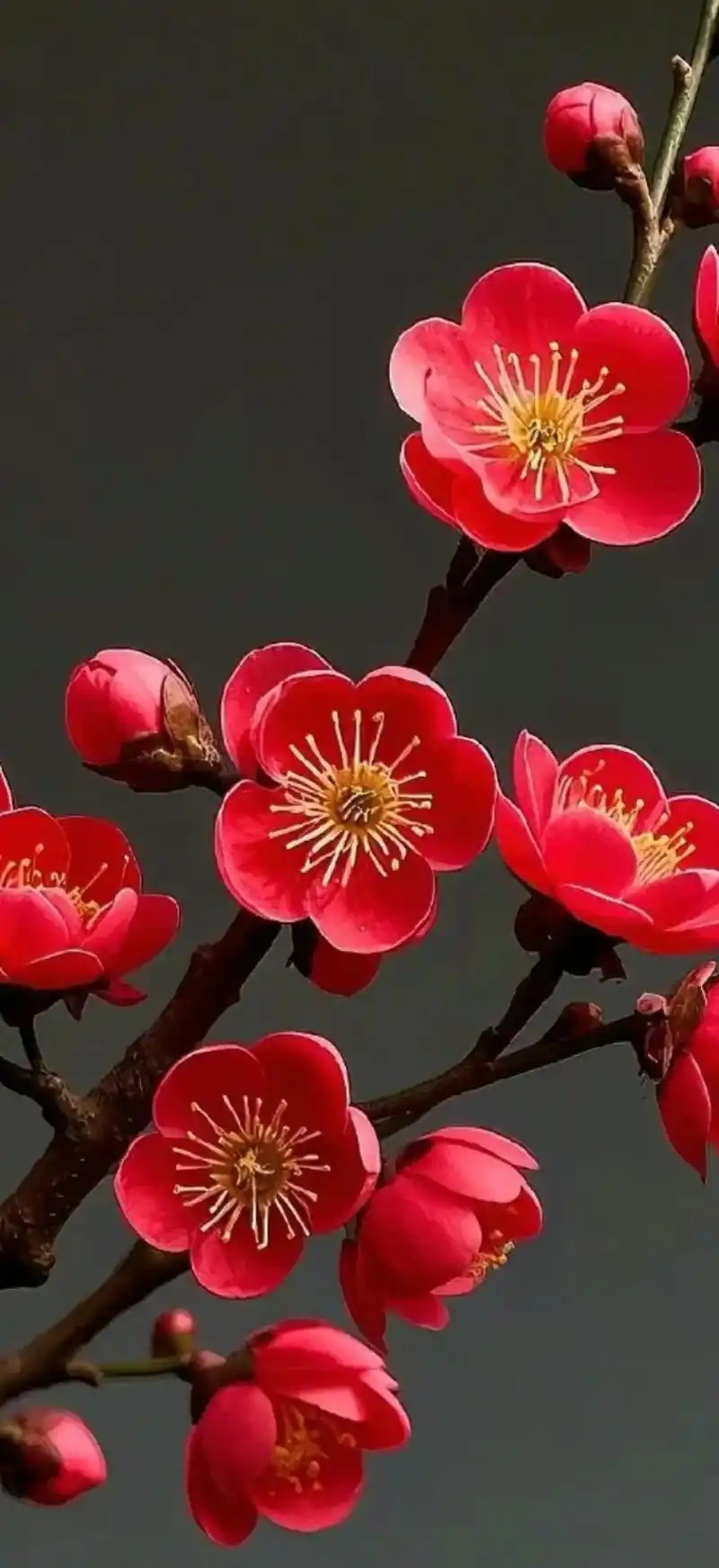 u=3407375020,3598088419&fm=253&fmt=auto&app=138&f=JPEG_edit_599976632366.jpg